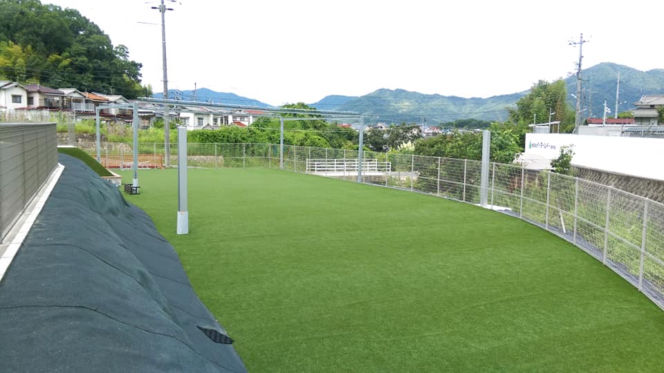 アオプラスワン