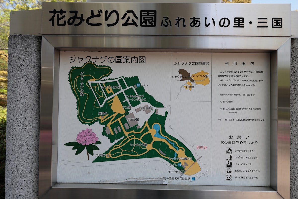 花みどり公園の実際の写真