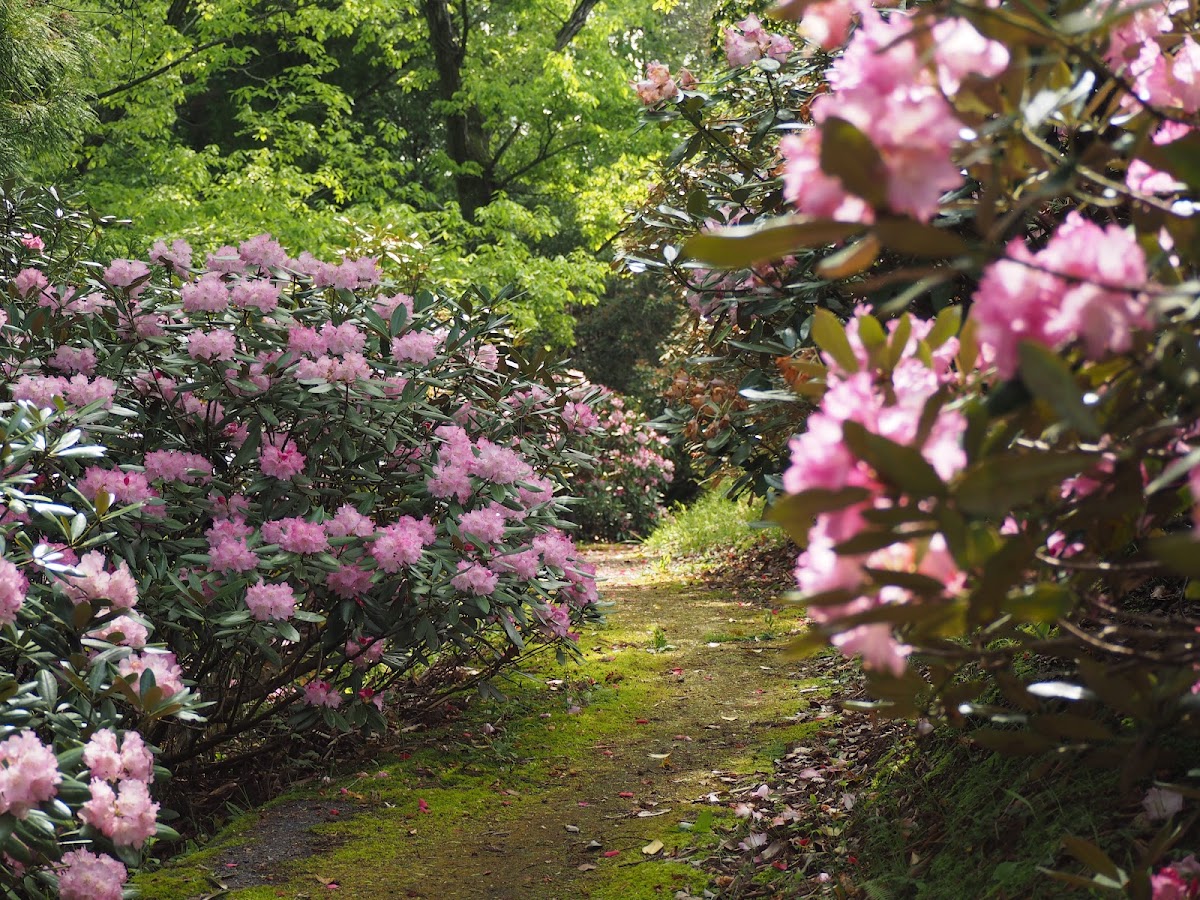 花みどり公園の実際の写真