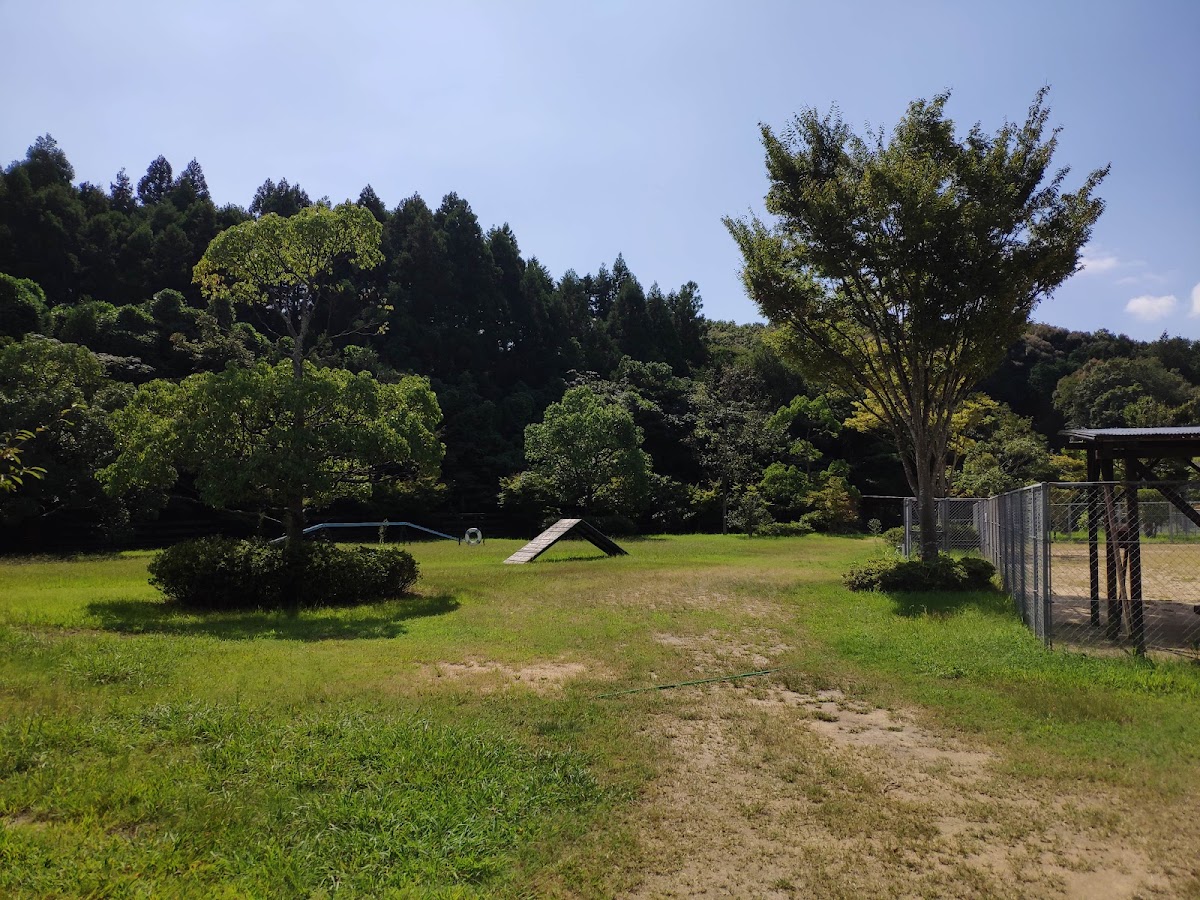 犬の公園