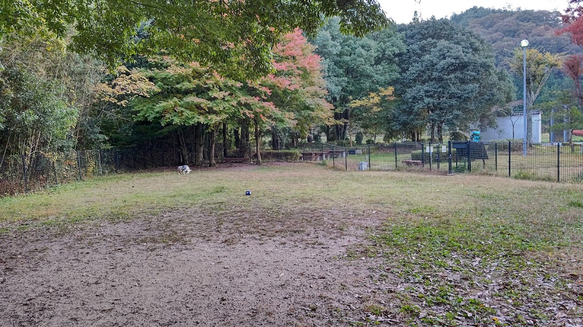 ドッグラン 鹿野SA上りの実際の写真