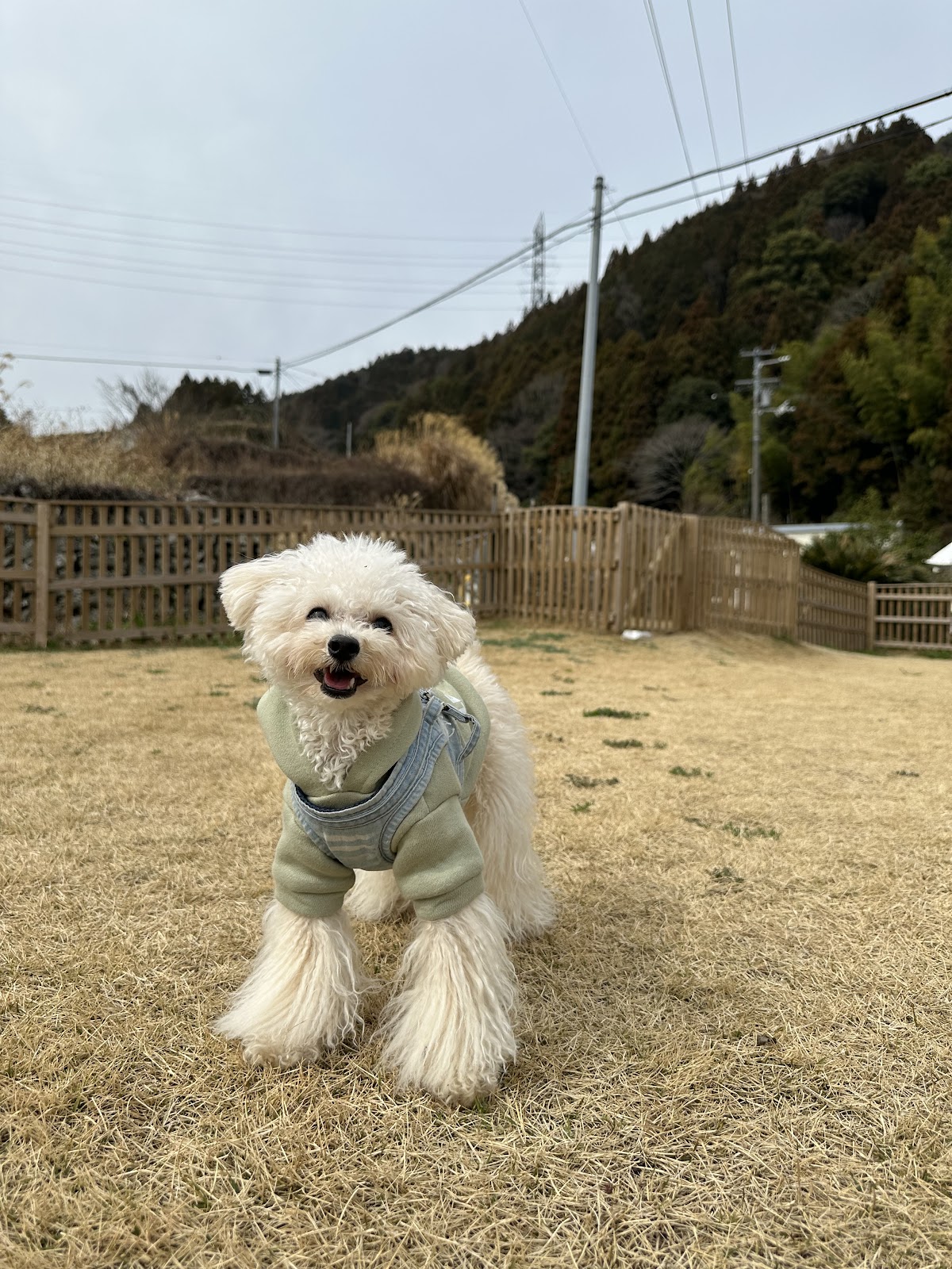 ドッグラン ファームラン・室内ドッグランdogbaseの実際の写真