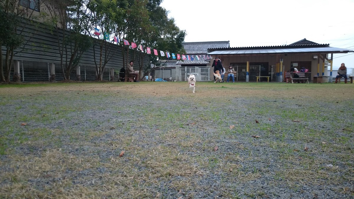 こうつドッグわん