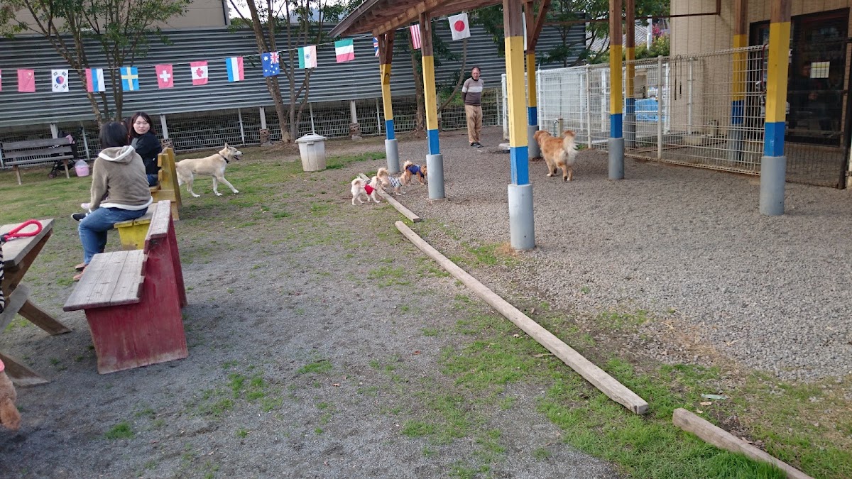 こうつドッグわんの実際の写真