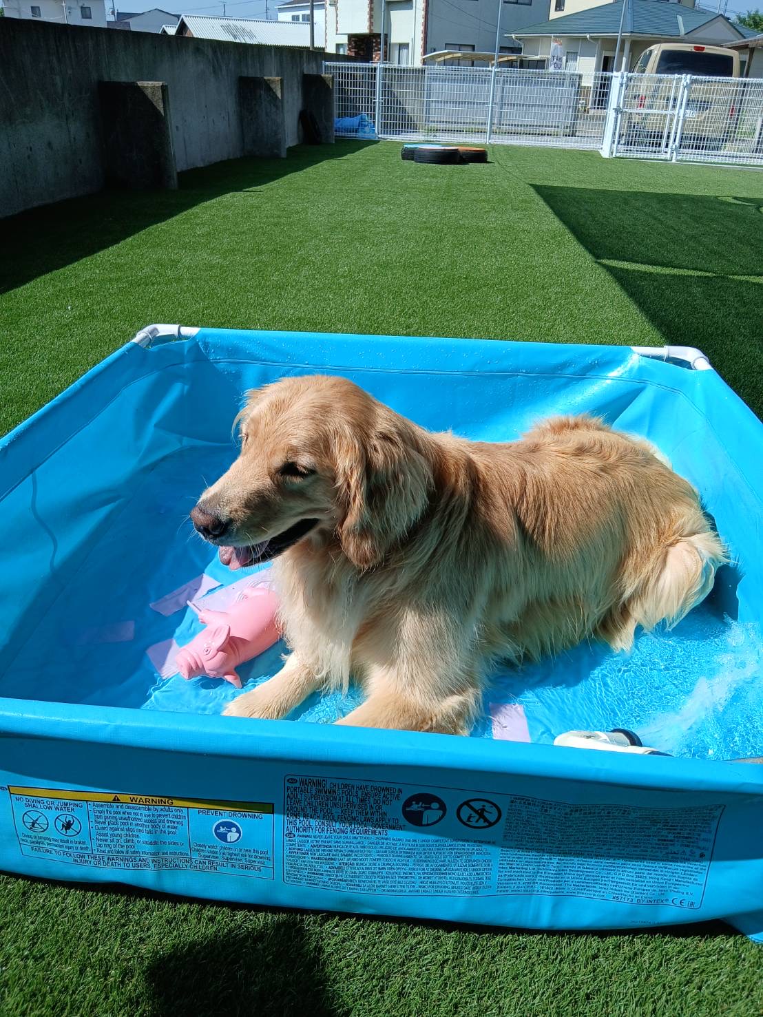 one's dogいぬの預かりとドッグランの実際の写真