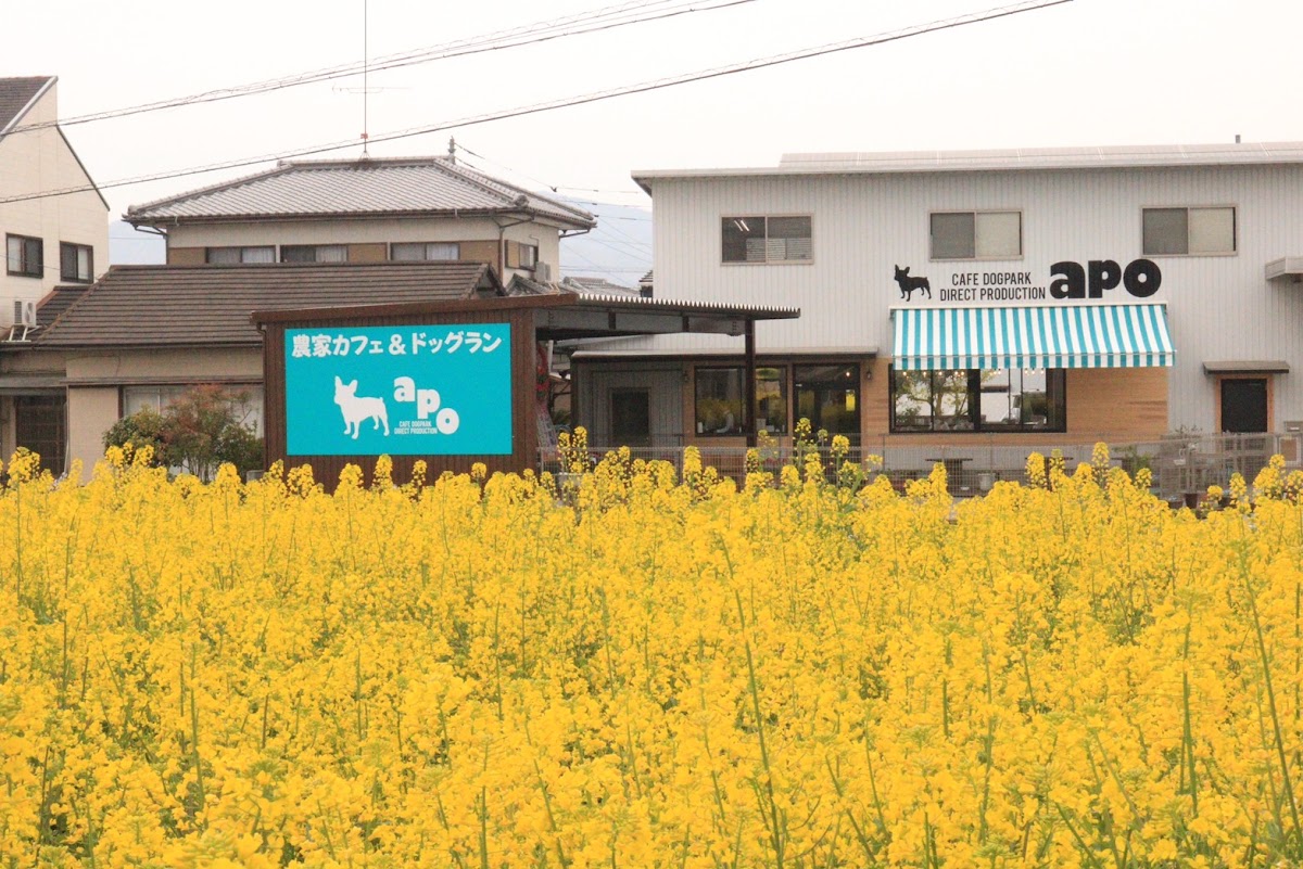 農家カフェ＆ドッグラン apo【あぽ】の実際の写真