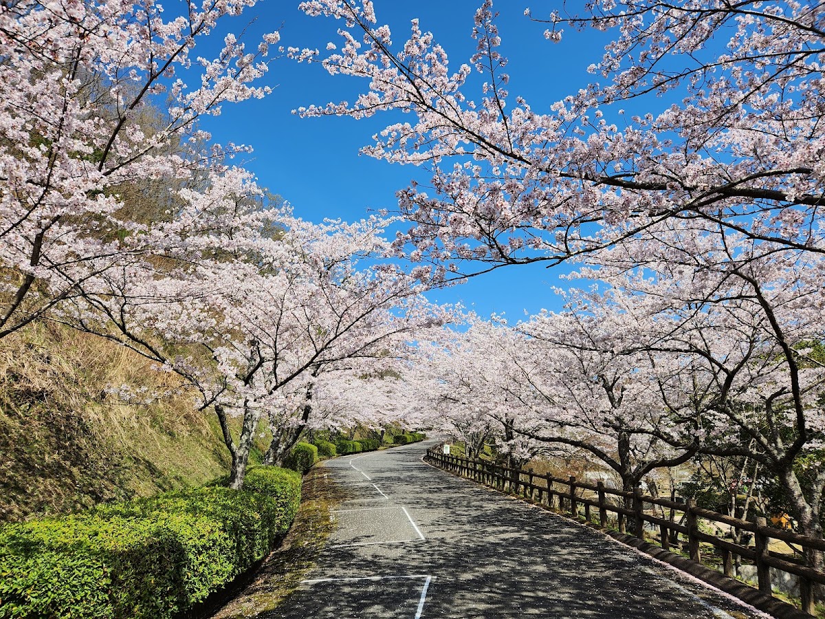 神山森林公園 イルローザの森の実際の写真