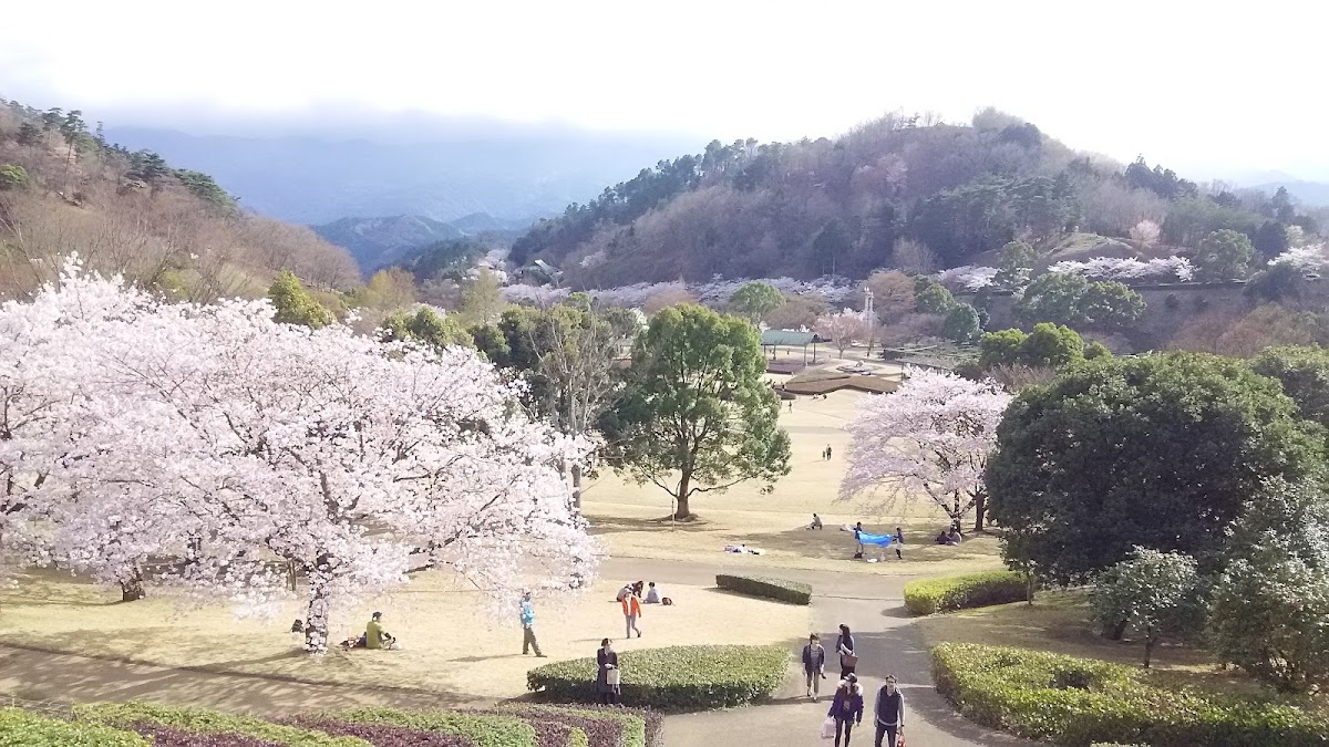 神山森林公園 イルローザの森の実際の写真
