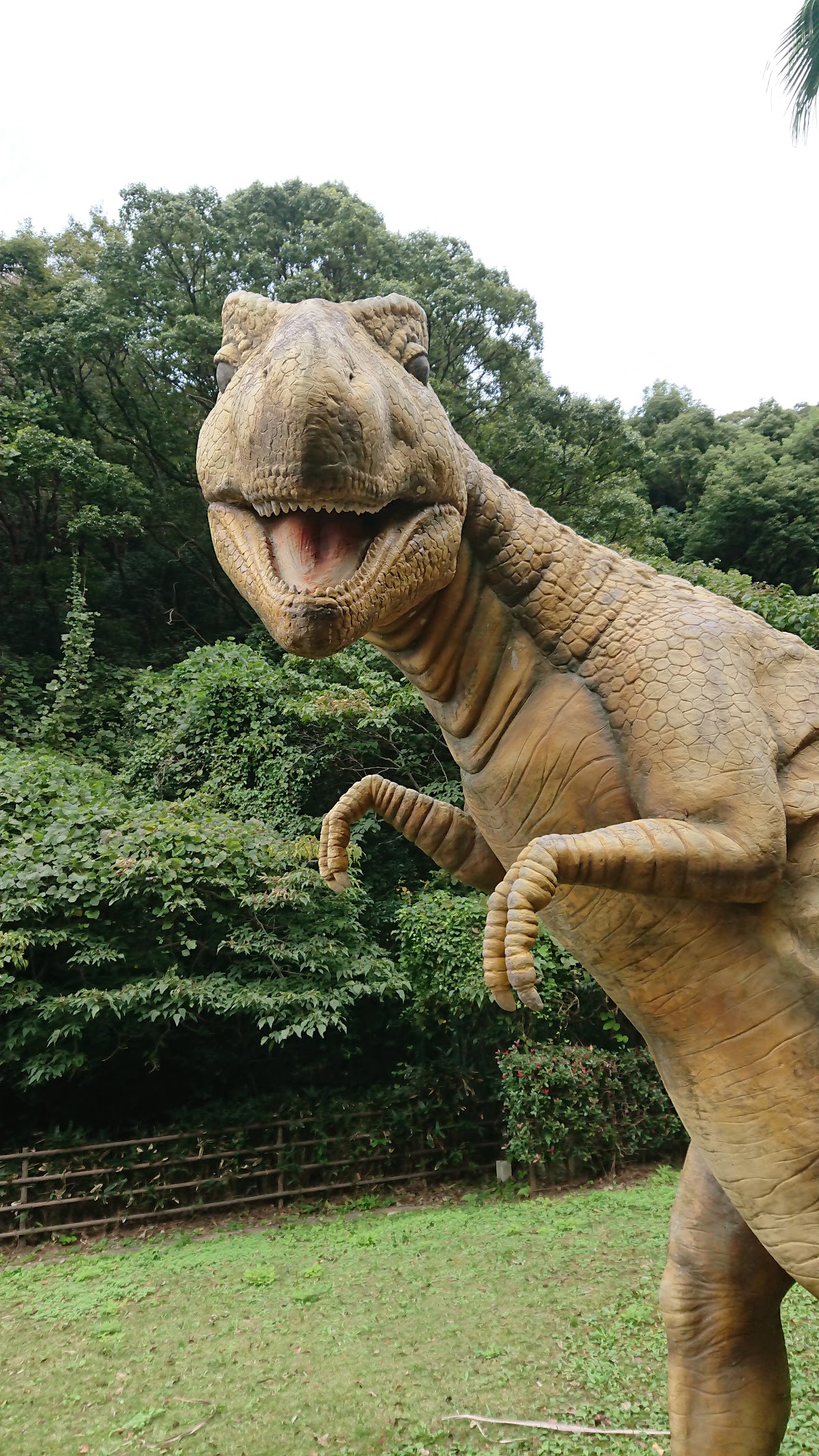 日峯大神子広域公園の実際の写真
