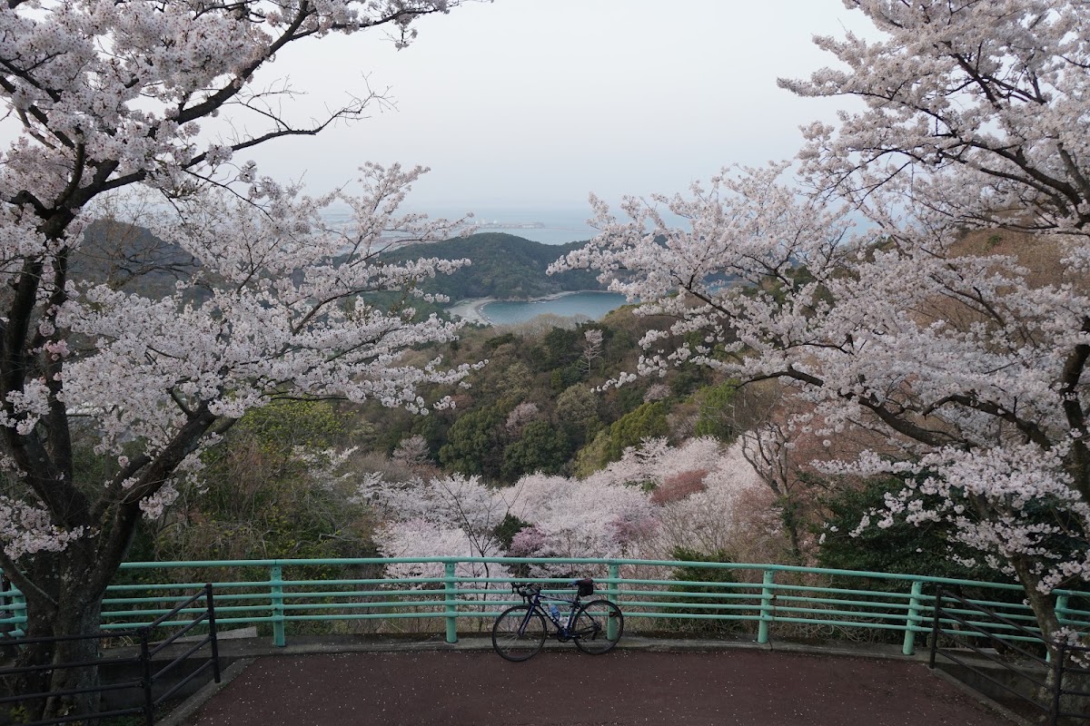日峯大神子広域公園の実際の写真