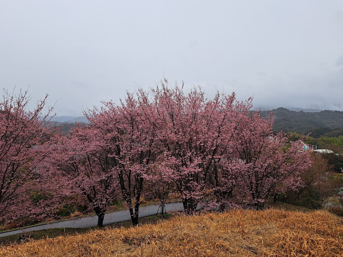 徳島市総合動植物公園