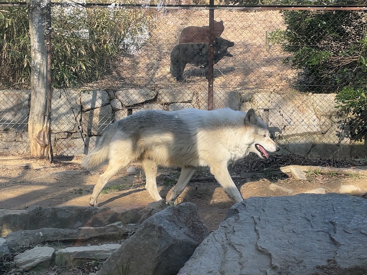 徳島市総合動植物公園の実際の写真