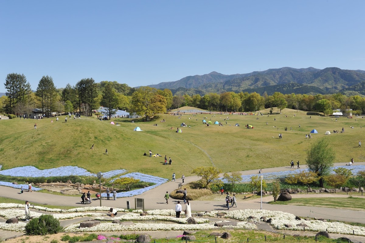 国営讃岐まんのう公園