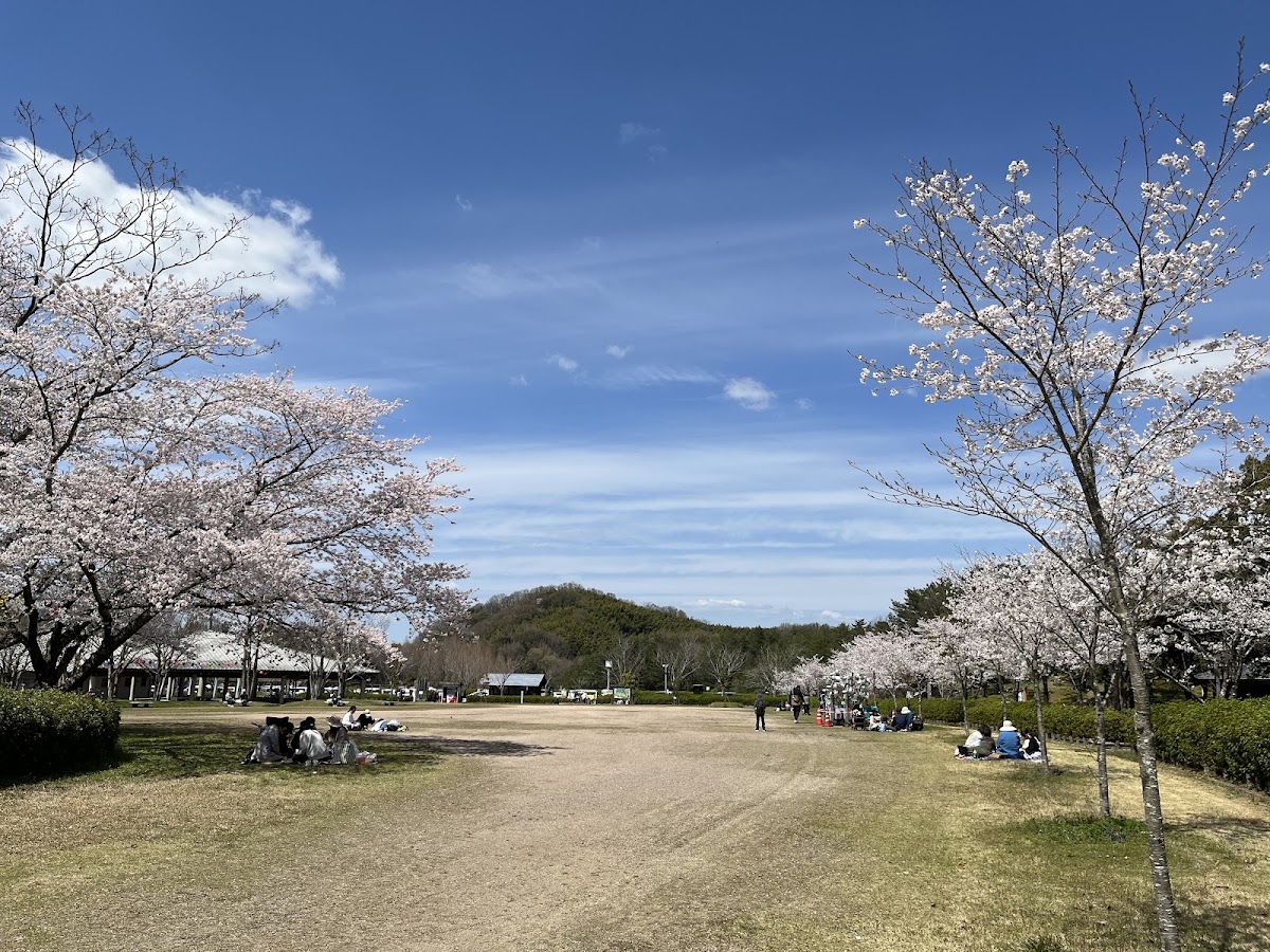 香川県満濃池森林公園の実際の写真