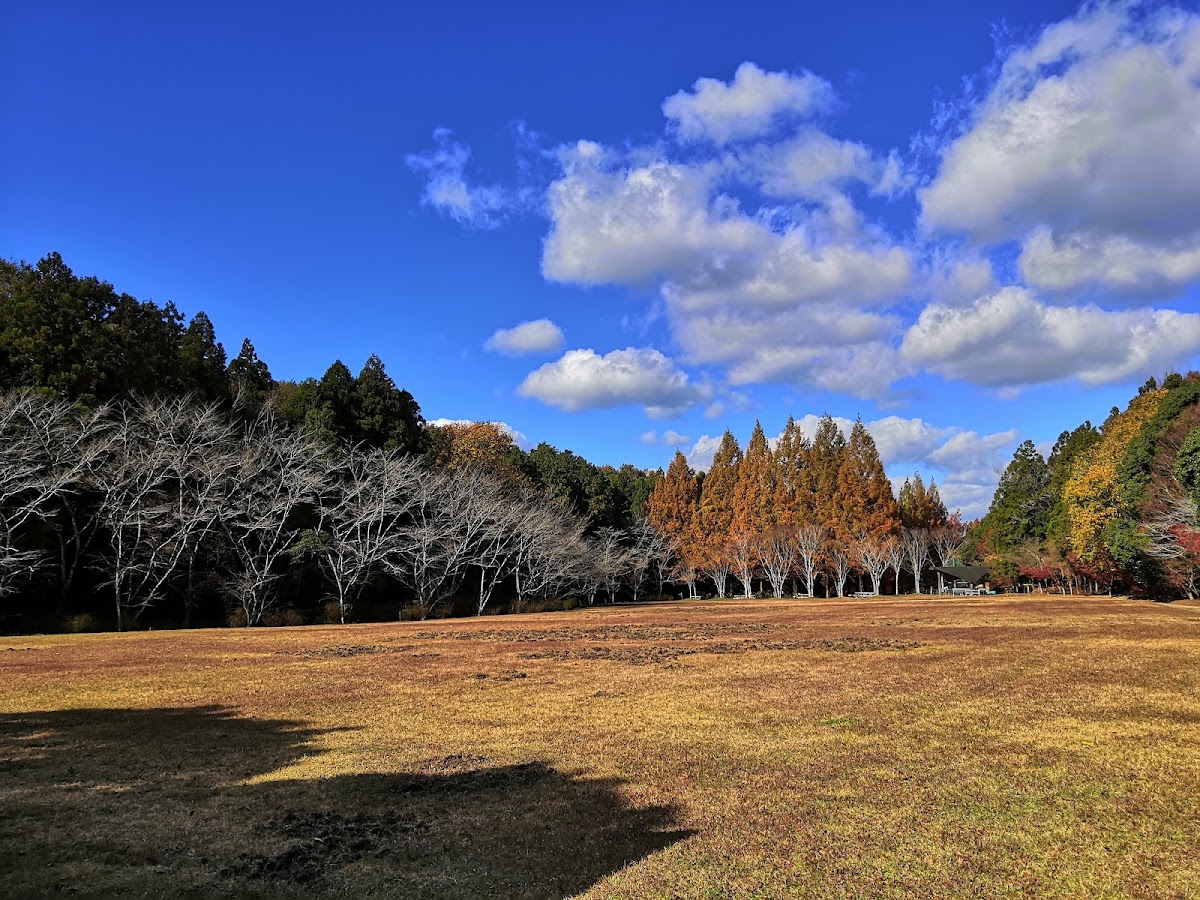 香川県満濃池森林公園の実際の写真
