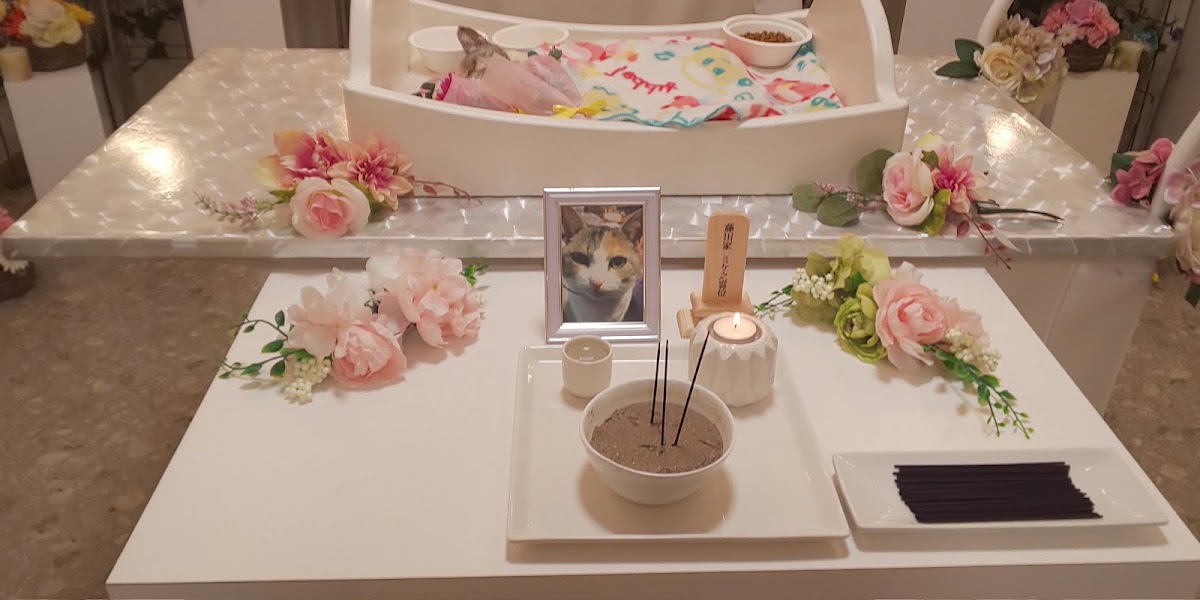 道後フォレストガーデンの実際の写真