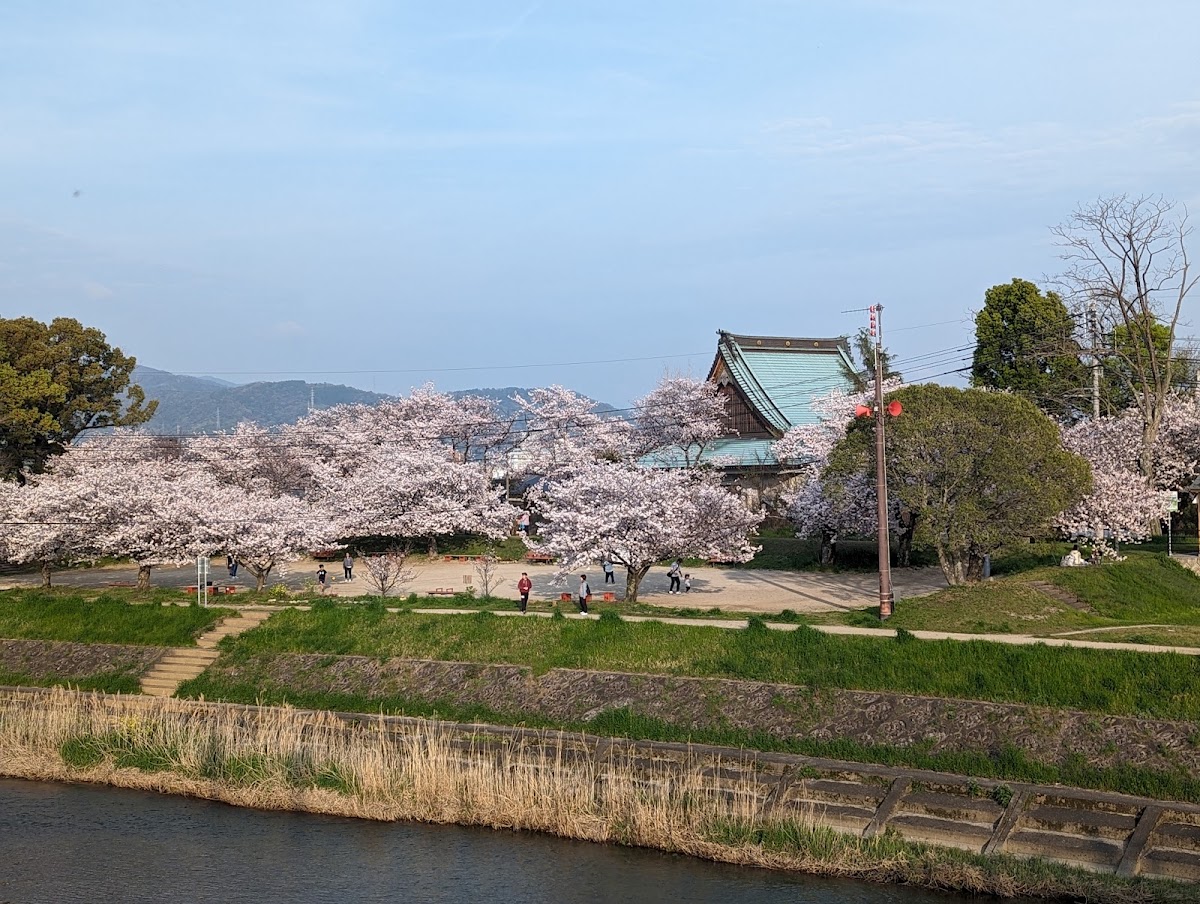 石手川緑地「わんパーク」