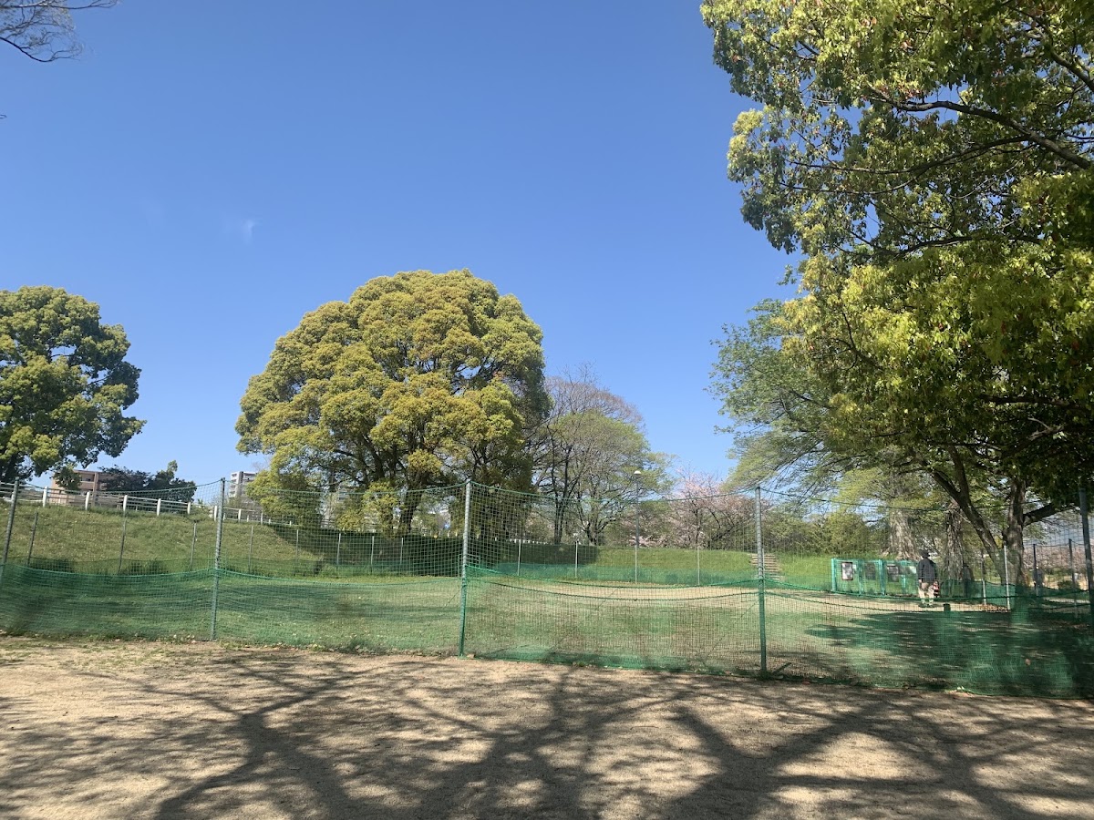 石手川緑地「わんパーク」の実際の写真