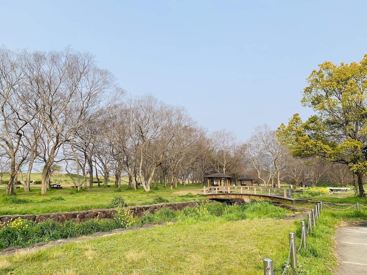 重信川かすみの森公園の実際の写真