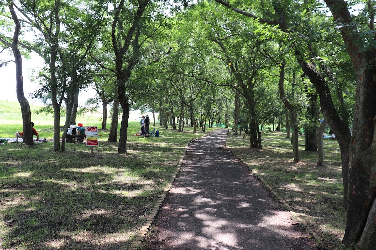 重信川かすみの森公園の実際の写真