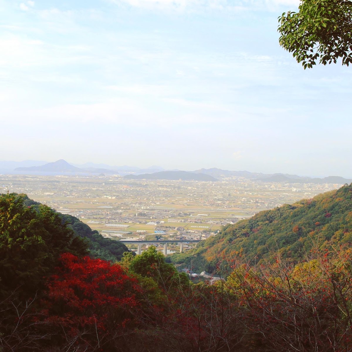 えひめ森林公園