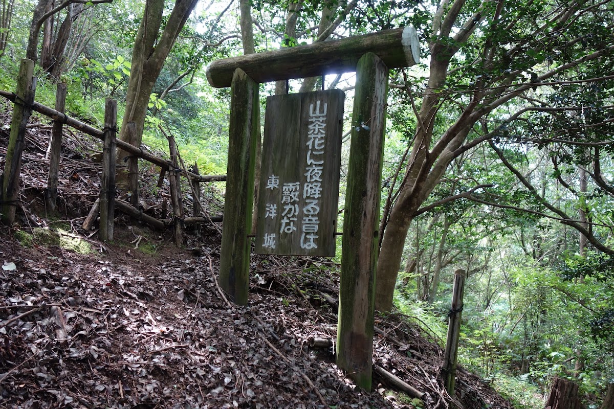 えひめ森林公園の実際の写真