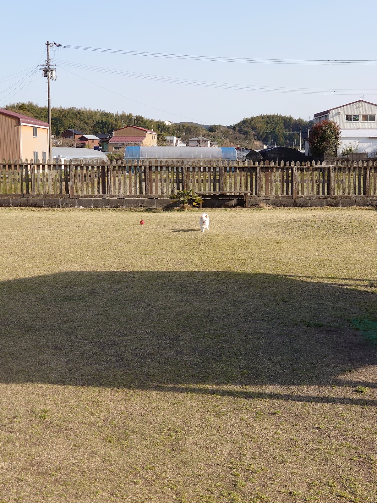 Ｄｏｇ・ａｎｄ・Ｓｅａの実際の写真