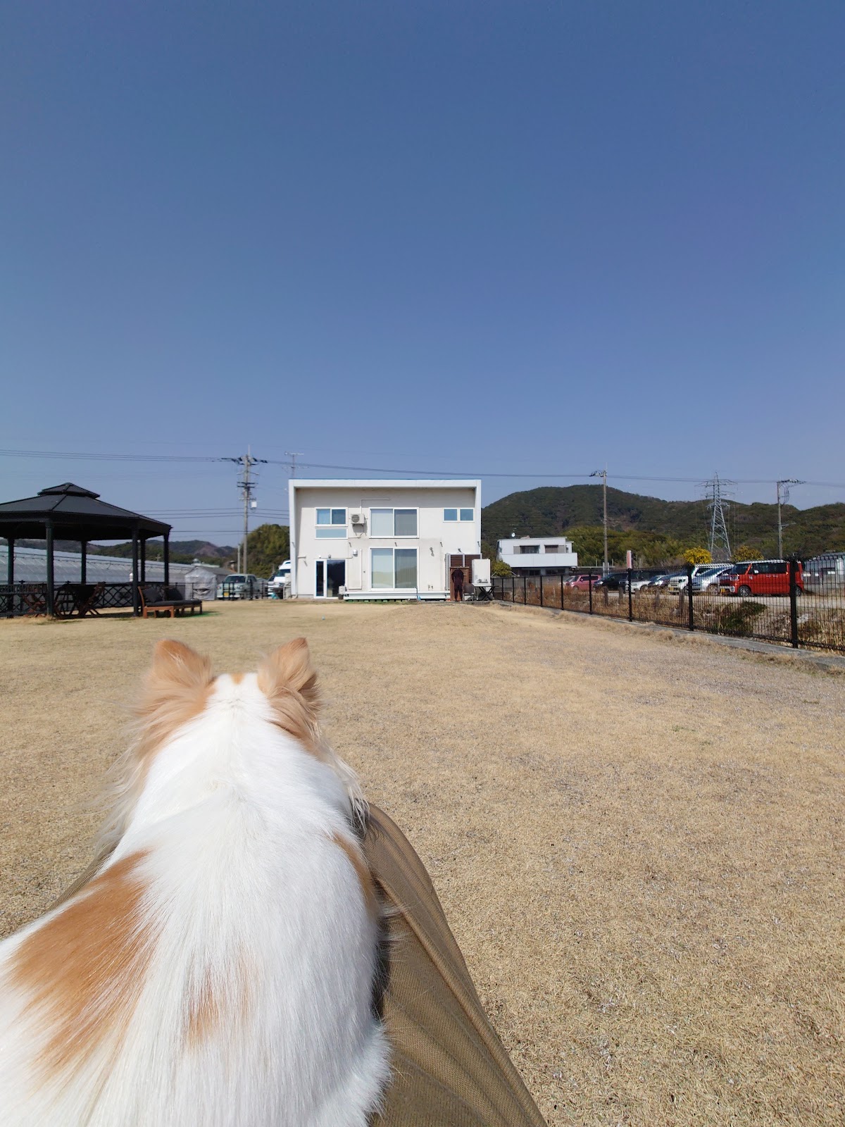 Ｄｏｇ・ａｎｄ・Ｓｅａの実際の写真