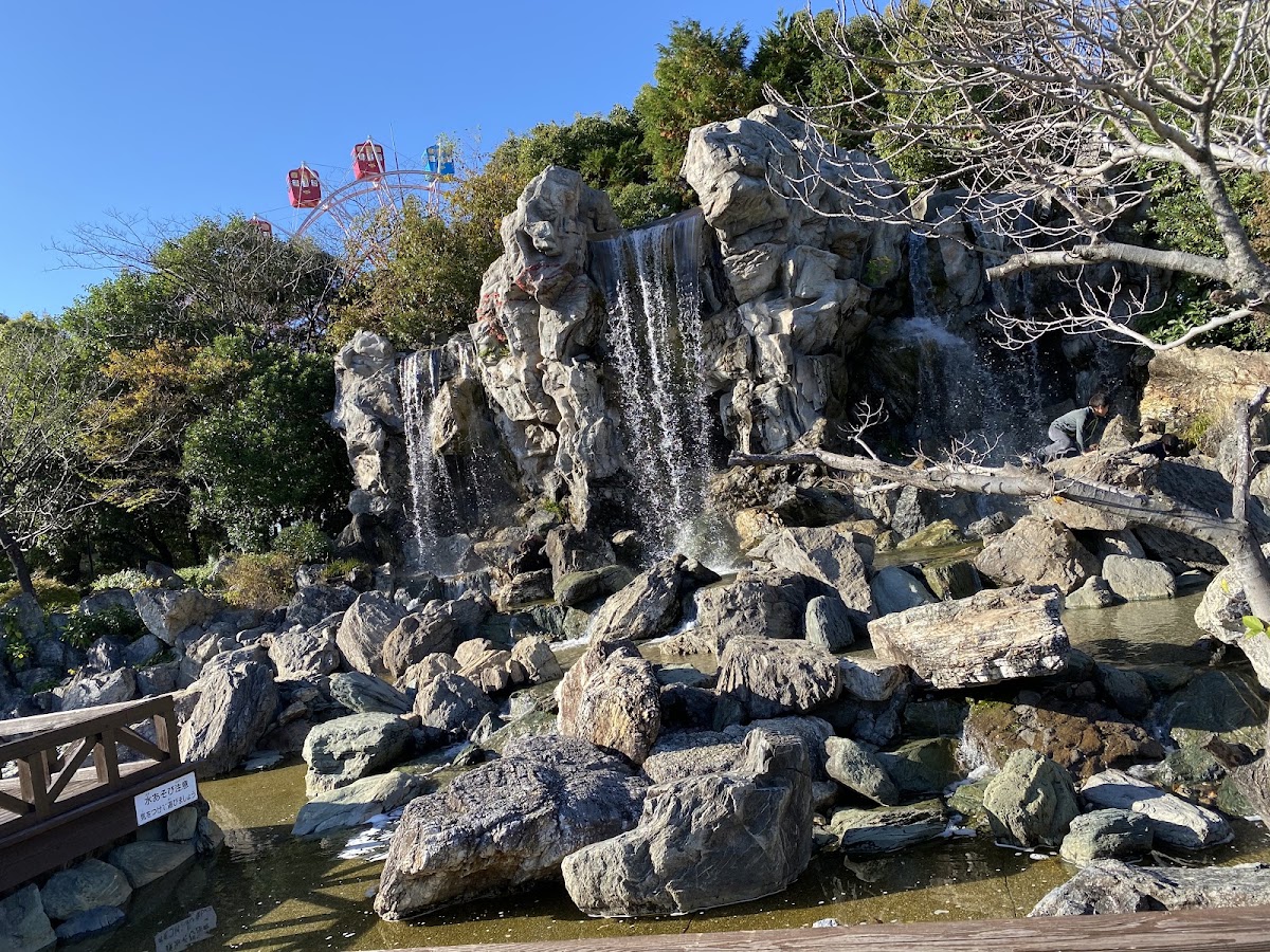 和の森 わんぱーくこうちの実際の写真