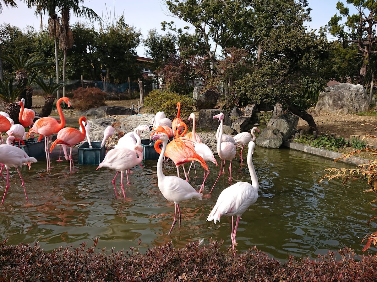 和の森 わんぱーくこうちの実際の写真