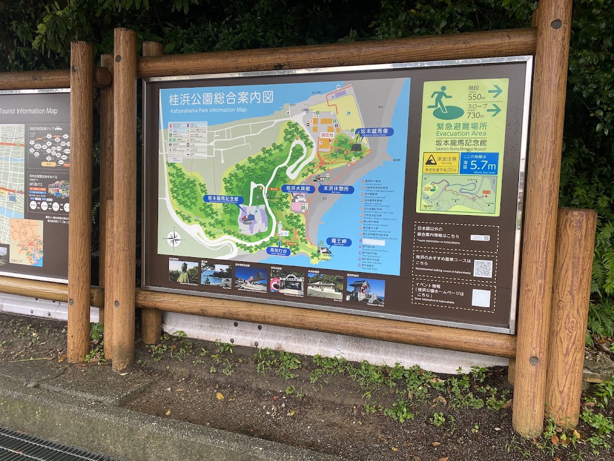 桂浜公園の実際の写真