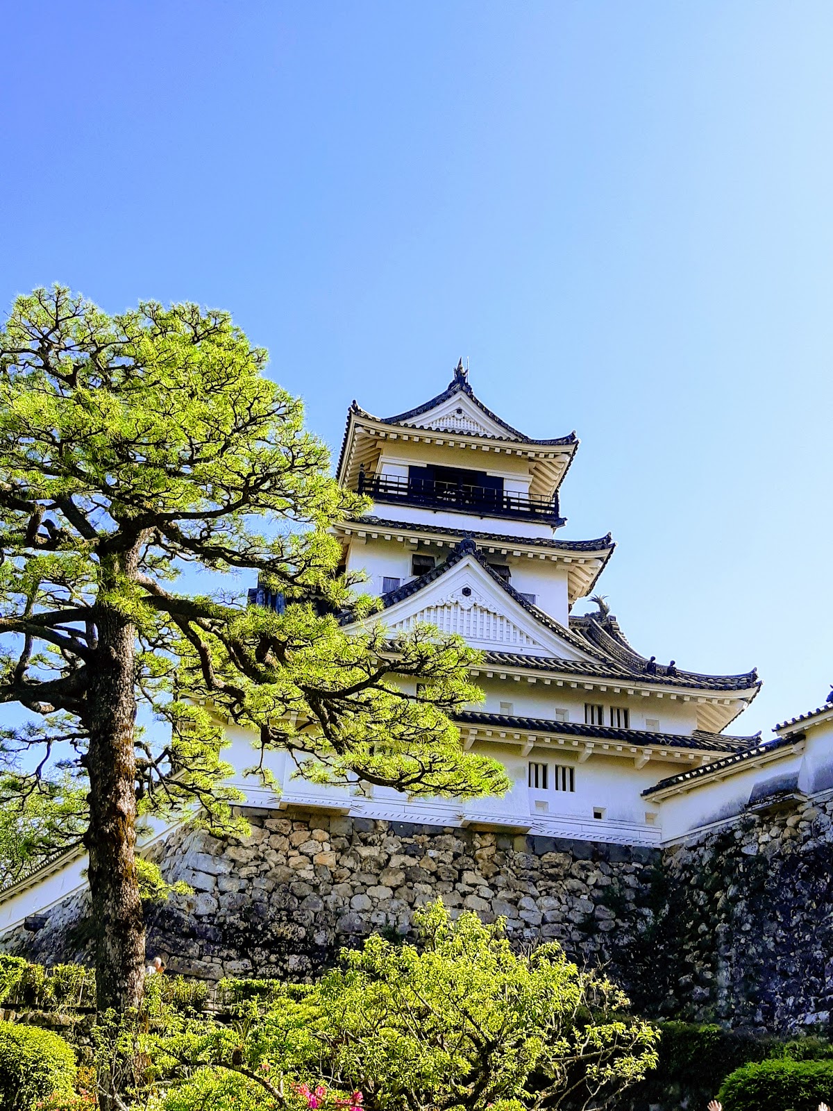 高知公園