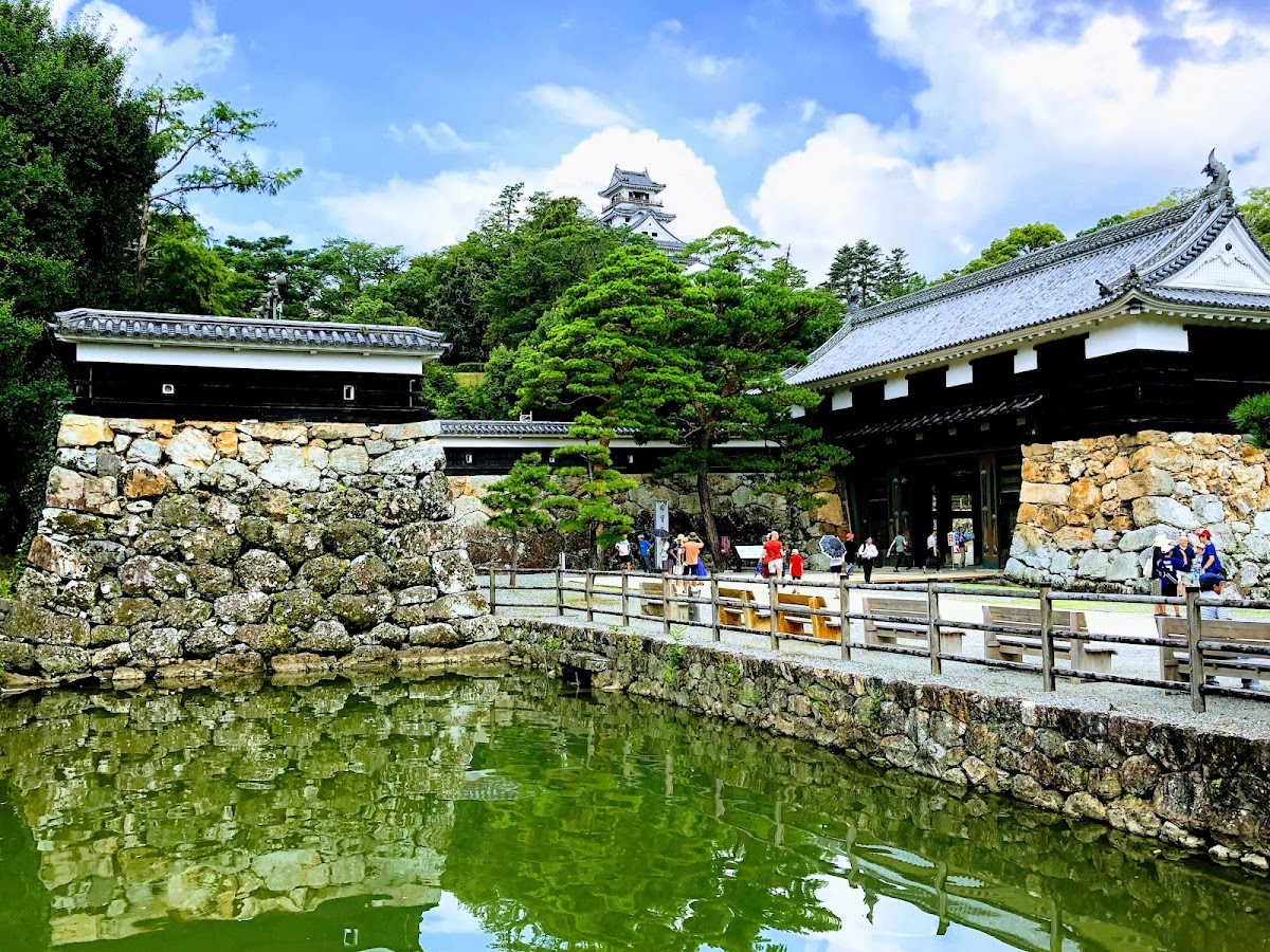 高知公園の実際の写真