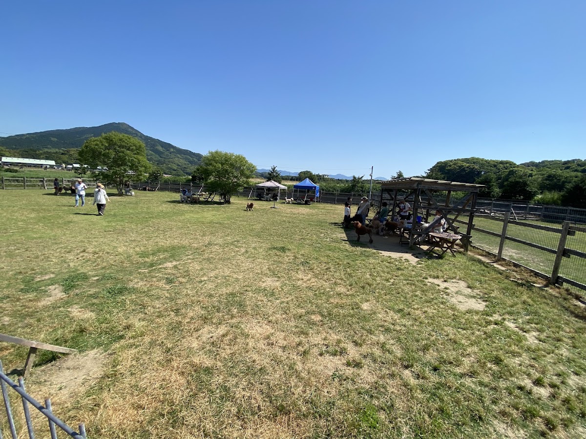 Farm Resort 糸島の実際の写真