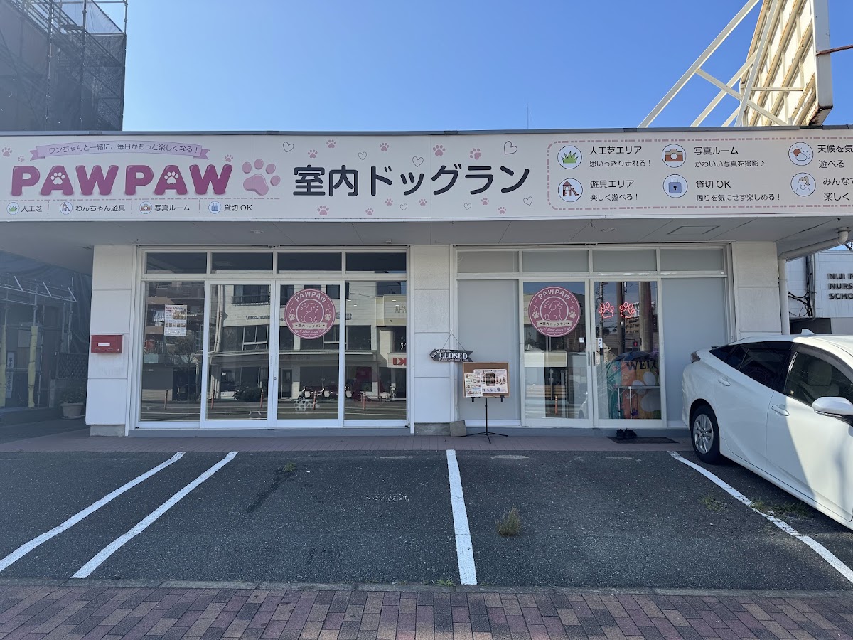 室内ドッグランPAWPAWの実際の写真