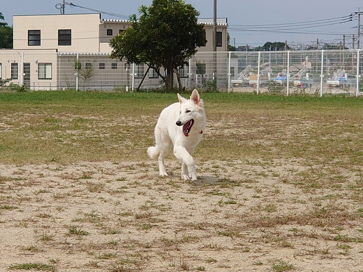 グリーンハート筑紫野