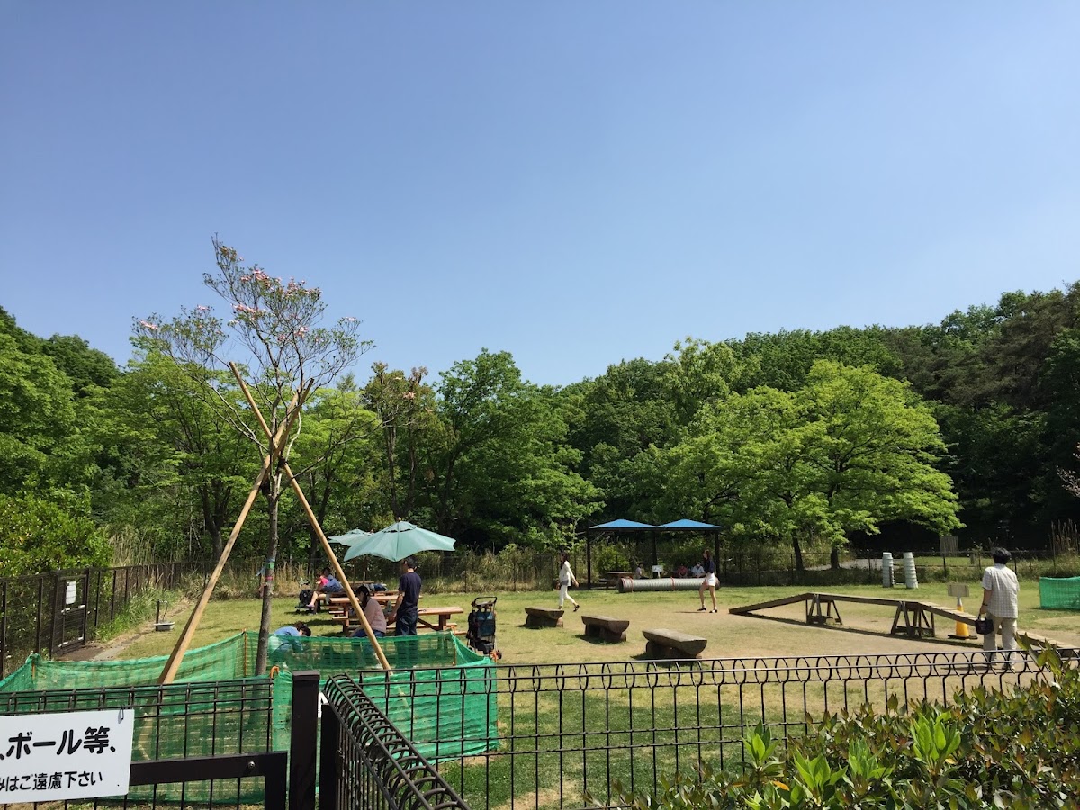 ドッグラン (森林公園内)