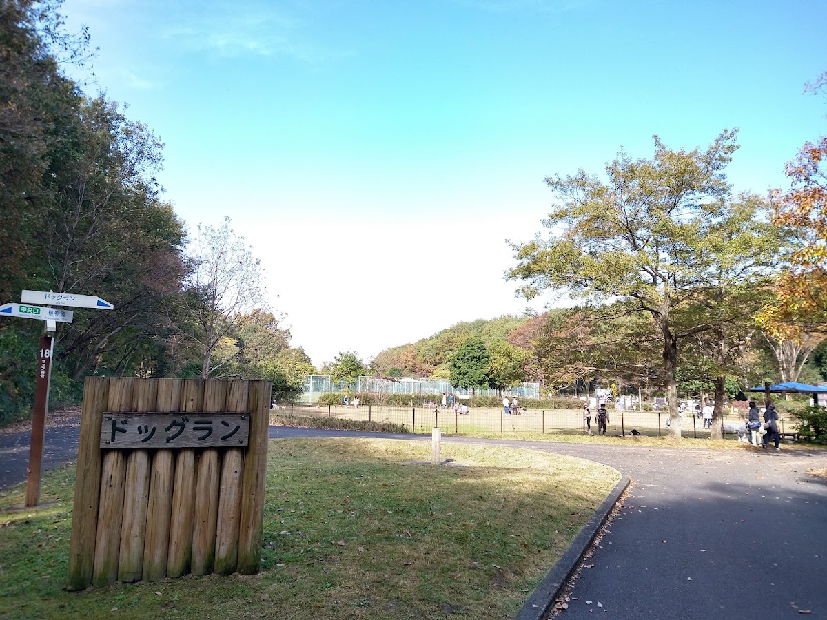 ドッグラン (森林公園内)の実際の写真