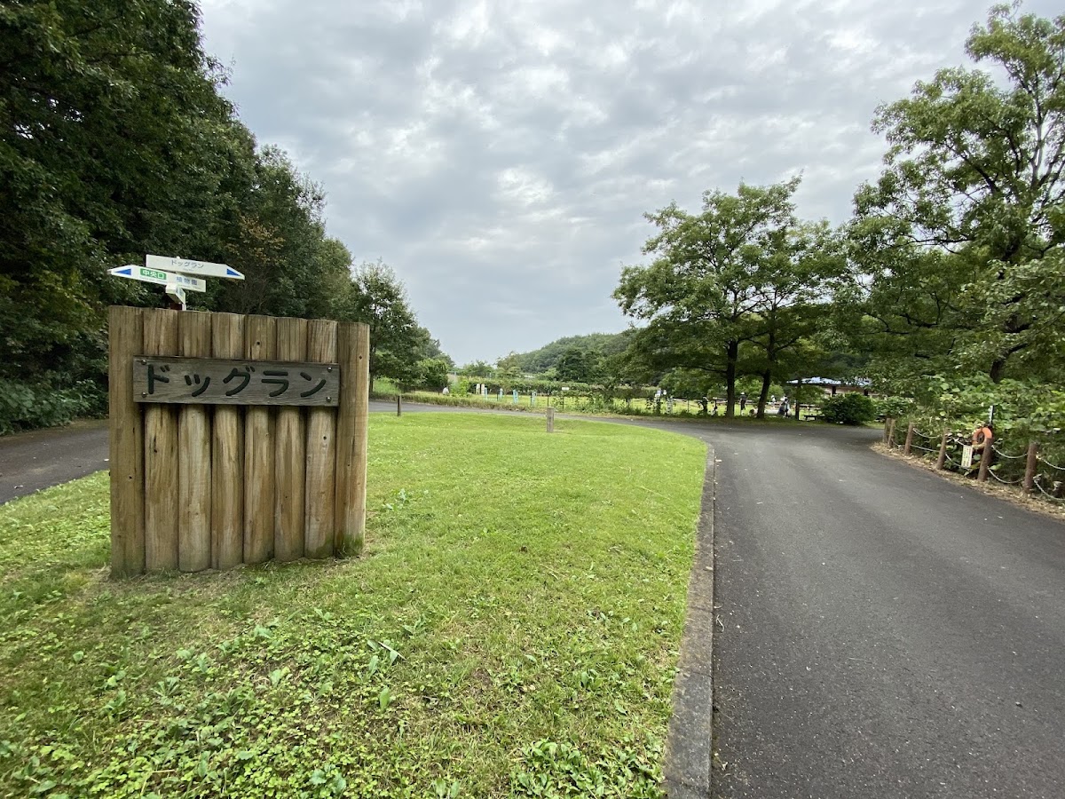 ドッグラン (森林公園内)の実際の写真
