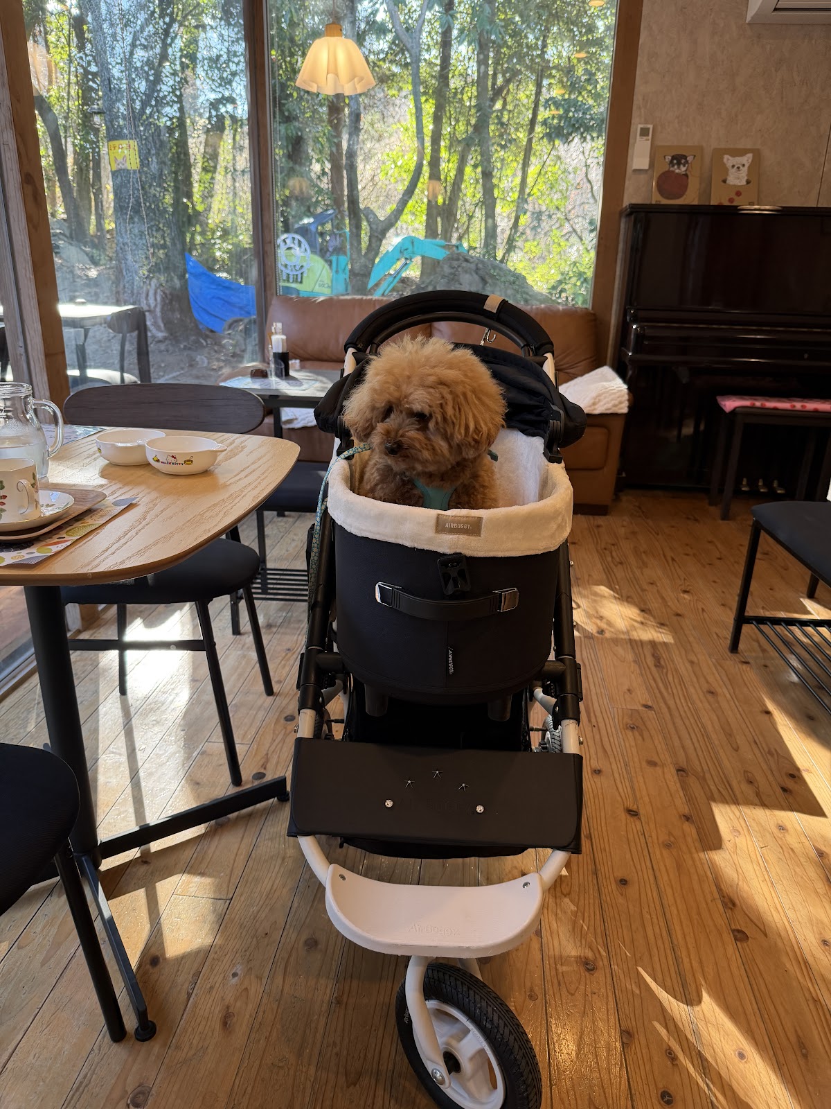 愛犬と泊まれる貸別荘&コテージ、森のレストラン、ドッグランHappy♥Wan Landの実際の写真