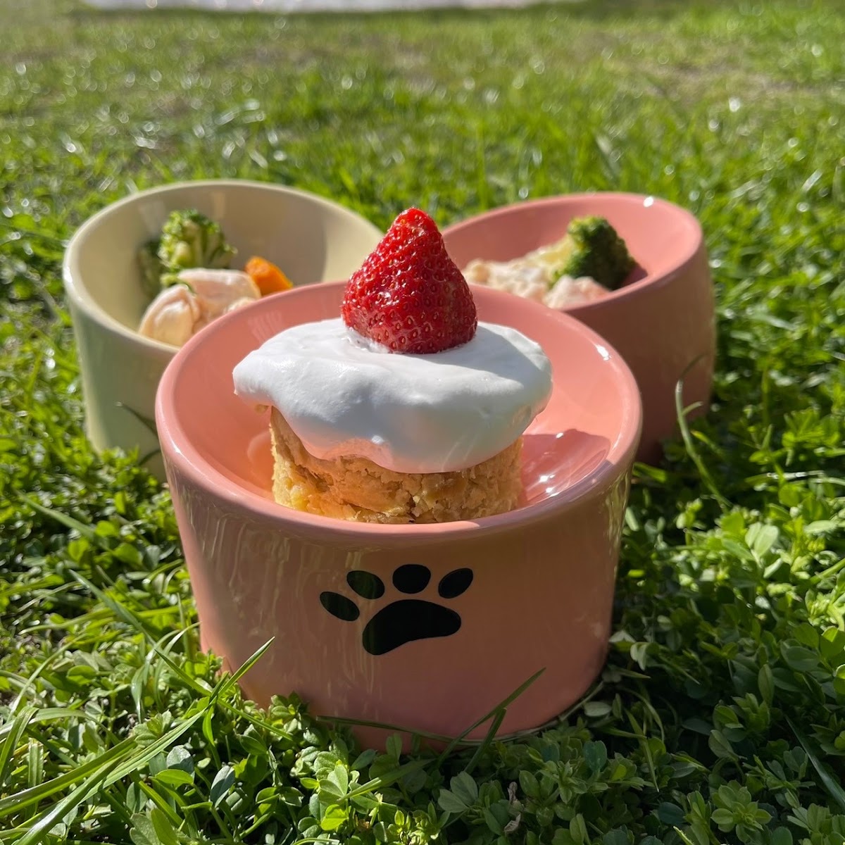 Long Vacation Resort（ドッグラン＆カフェ）の実際の写真