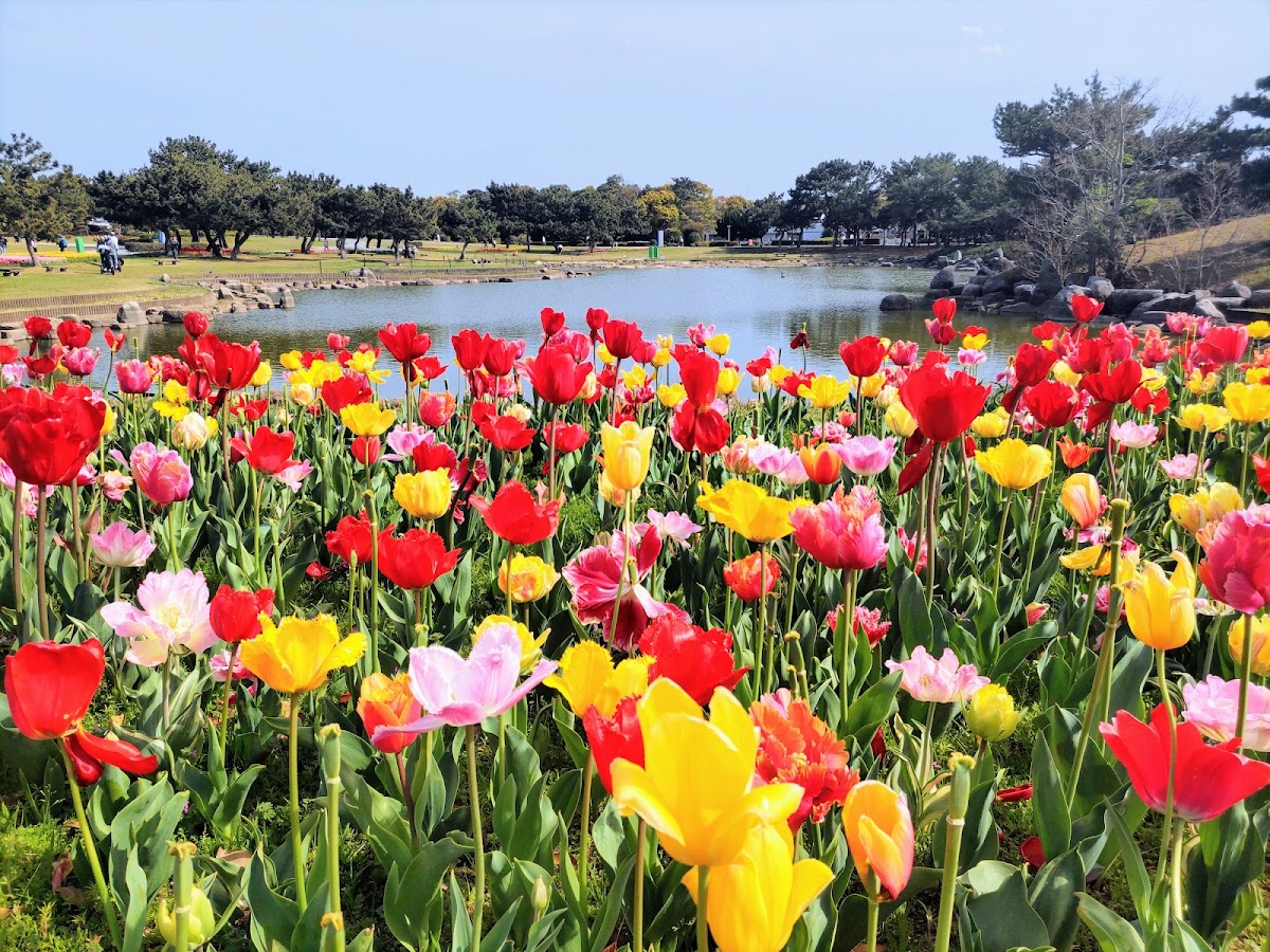 国営海の中道海浜公園