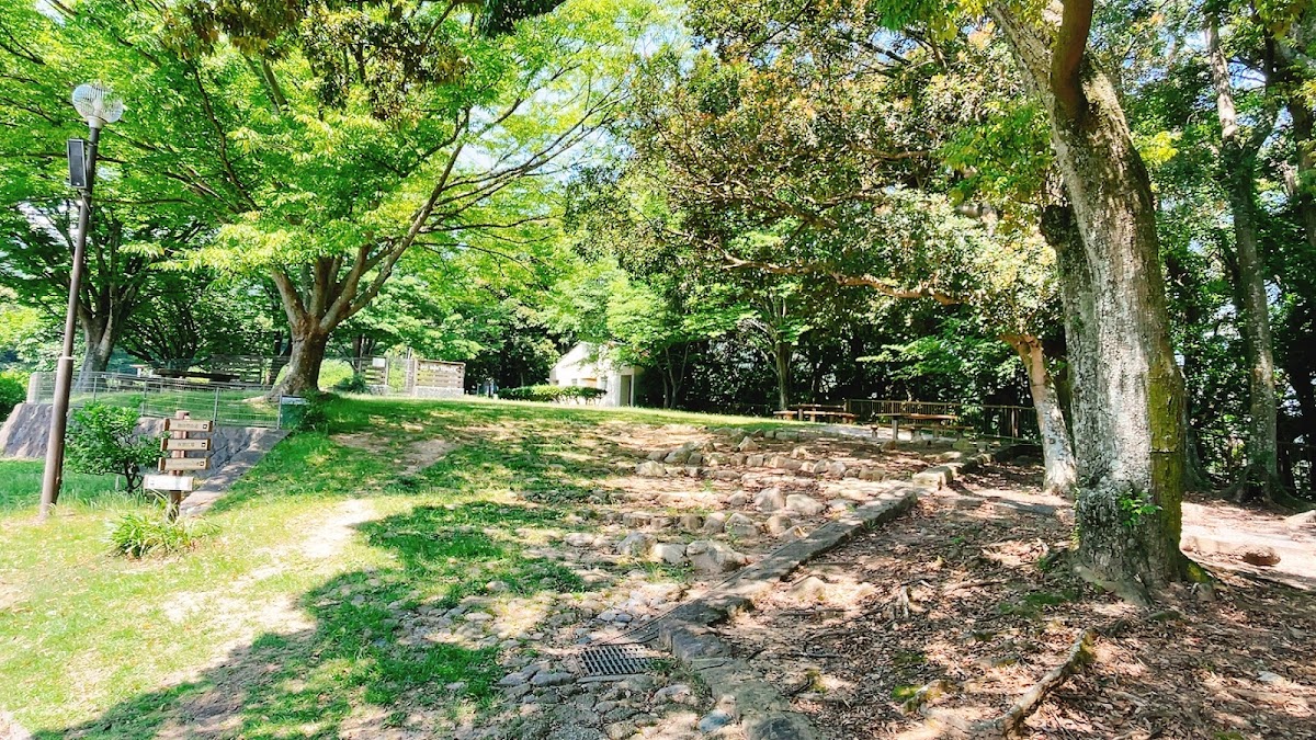 ドッグパークテラス Dog park terraceの実際の写真