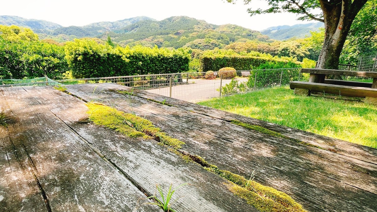 ドッグパークテラス Dog park terraceの実際の写真