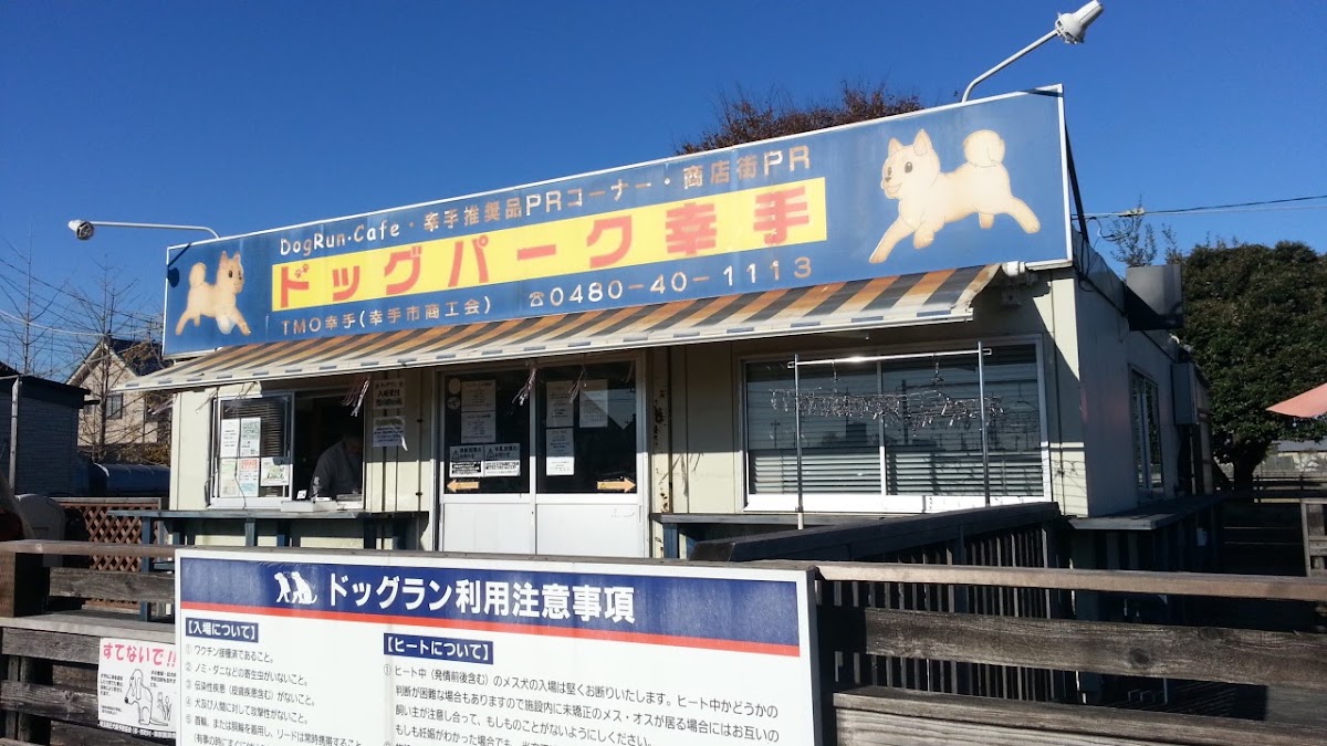 ドッグパーク幸手の実際の写真