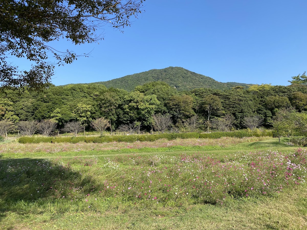 金立公園-金立山いこいの広場