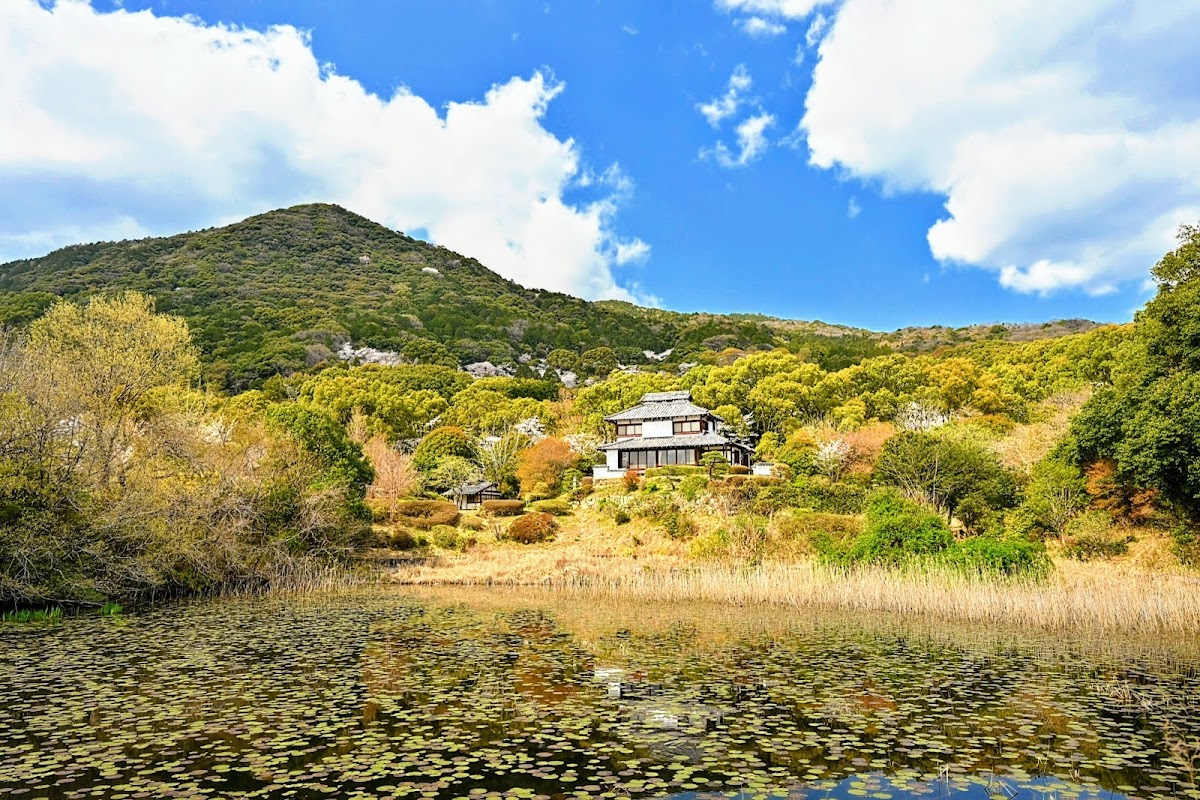 金立公園-金立山いこいの広場の実際の写真