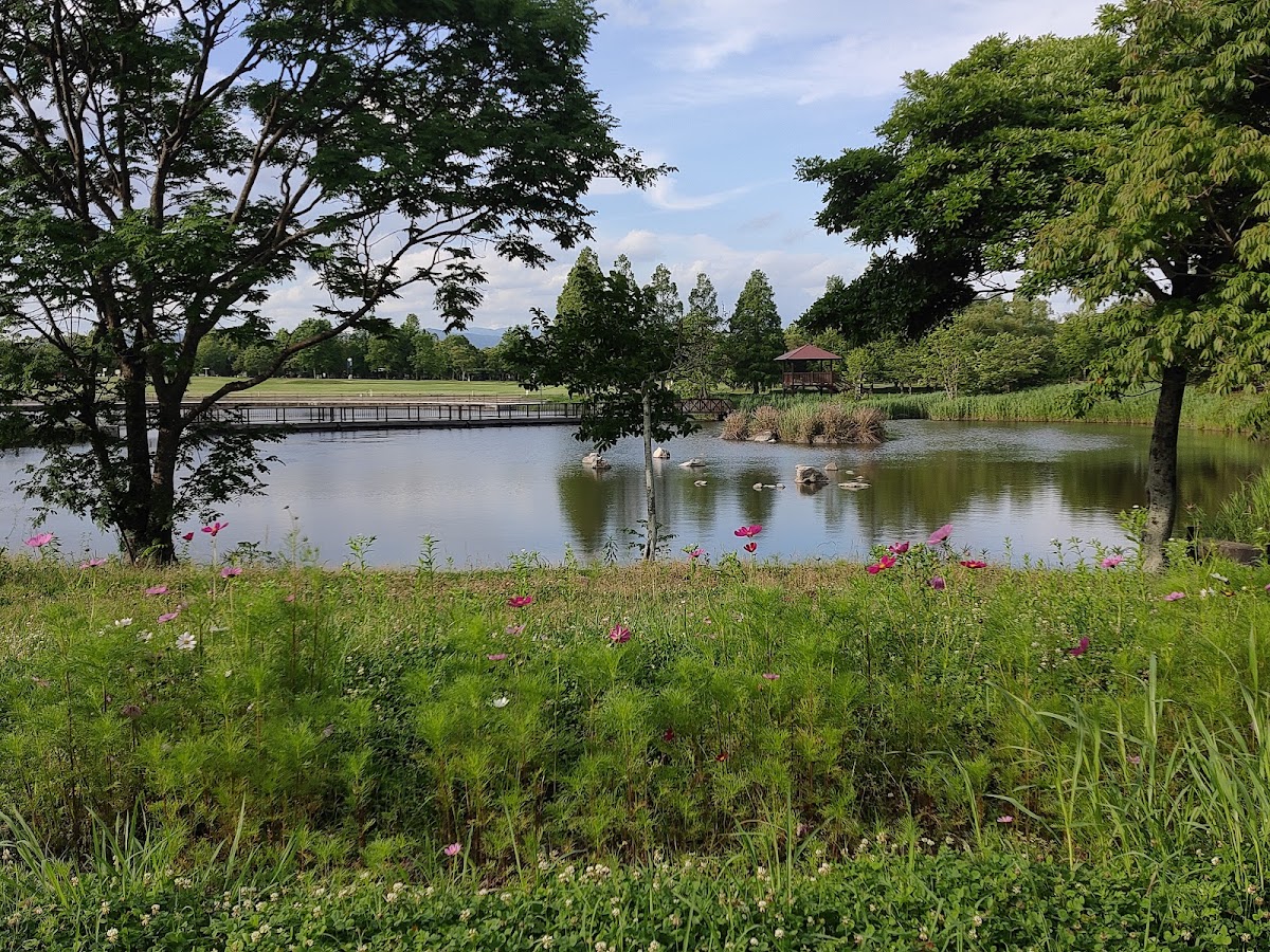 佐賀県立森林公園
