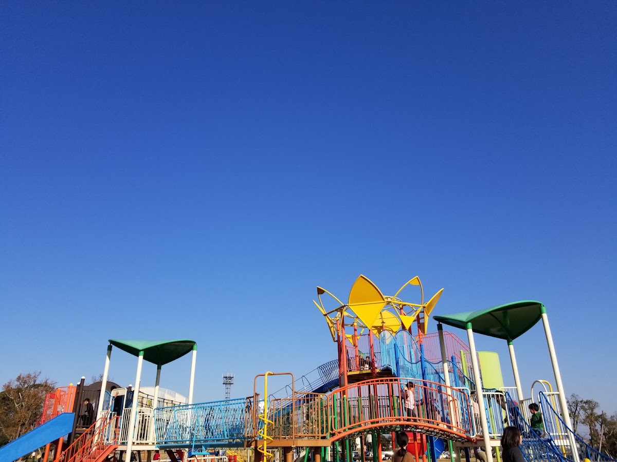 佐賀県立森林公園の実際の写真