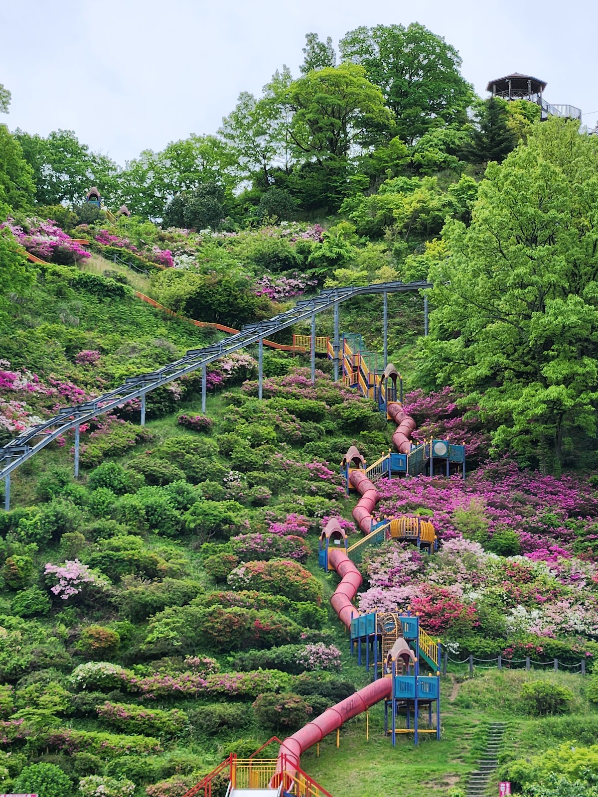 高取山公園